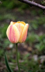 Similar image 13032269