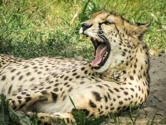 Similar image 13058828