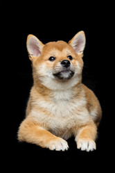 Similar image 13052821