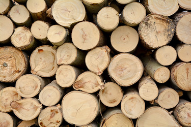 Similar image 13032312