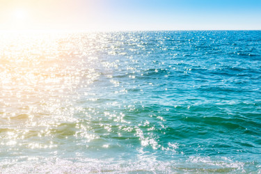 Similar image 13044990