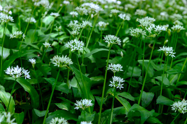 Similar image 13032334