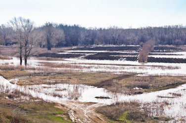 Similar image 13041306