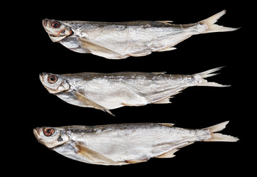 Similar image 13041322