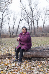 Similar image 13041334