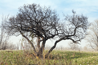 Similar image 13041335