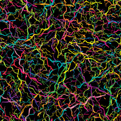 Similar image 13062122