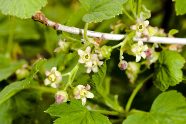 Similar image 13041001