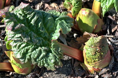 Similar image 13041002