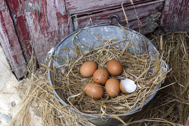 Similar image 13033040