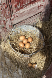 Similar image 13033041