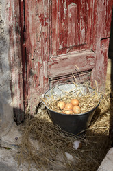 Similar image 13033043