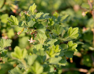 Similar image 13041003