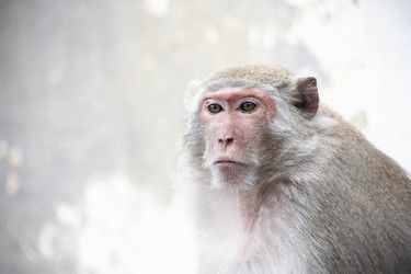 Similar image 13033062