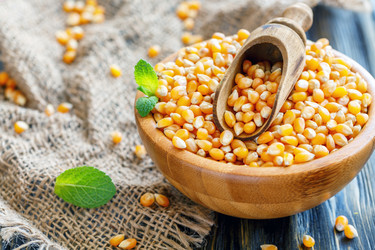 Similar image 13033527