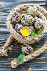 Similar image 13033540