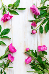 Similar image 13033542