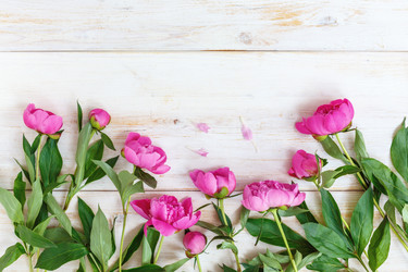 Similar image 13033543