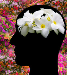 Similar image 13041208