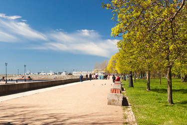 Similar image 13033048