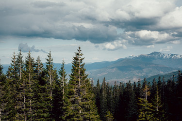 Similar image 13034374