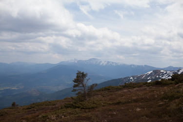 Similar image 13034376