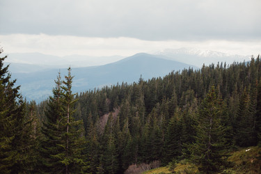 Similar image 13034378