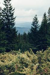 Similar image 13034379