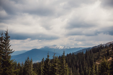 Similar image 13034380