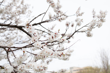 Similar image 13034382