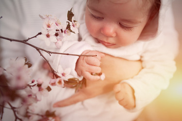 Similar image 13034385