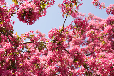 Similar image 13034386