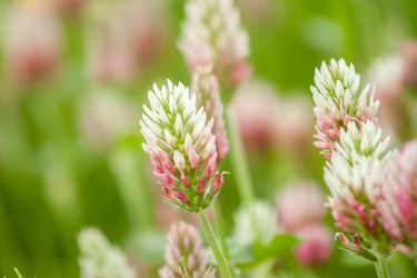 Similar image 13059765