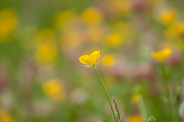 Similar image 13059766