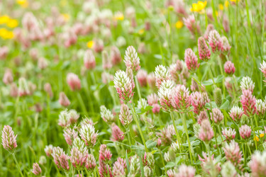 Similar image 13059807