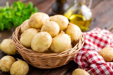 Similar image 13041506