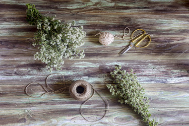 Similar image 13041049