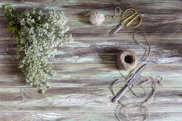 Similar image 13041050