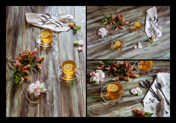 Similar image 13041055