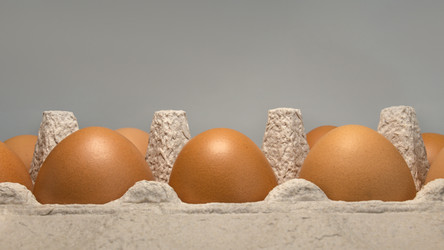 Similar image 13041279