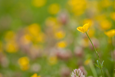 Similar image 13059770