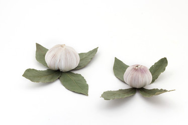 Similar image 13041181