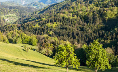 Similar image 13059811