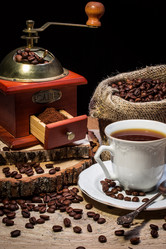 Similar image 13044350