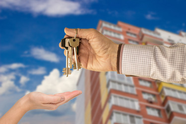 Similar image 13044355