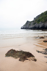 Similar image 13041016