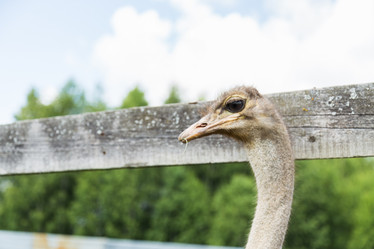 Similar image 13041451