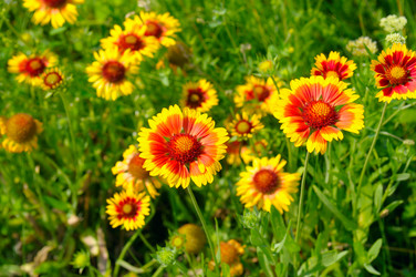 Similar image 13044211