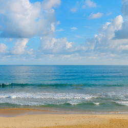 Similar image 13044213