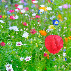 Similar image 13044232